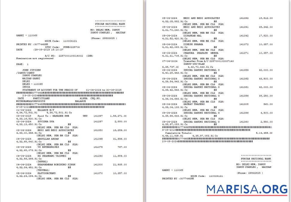 Blank UAE Dubai PNB bank statement word 2 pages template